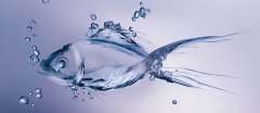 实验室用纯水知识详解